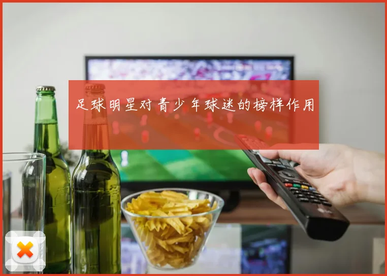 足球明星对青少年球迷的榜样作用