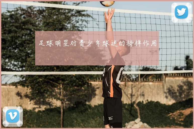 足球明星对青少年球迷的榜样作用